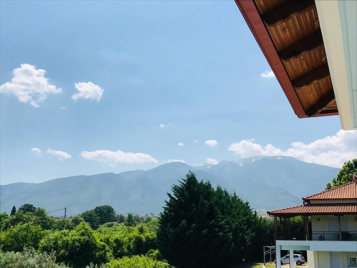 Apartamento Dimeli 1 Plaka Litóchoro Exterior foto